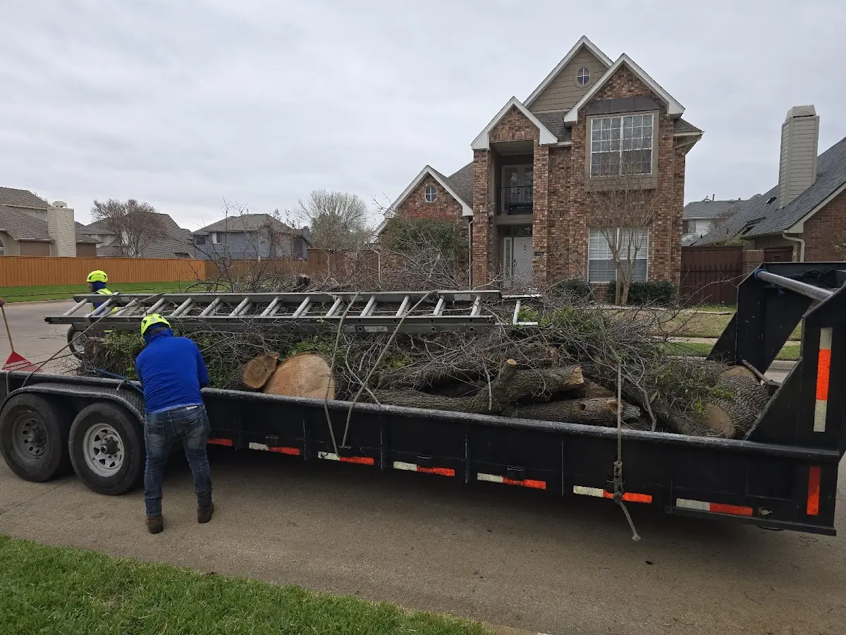 Expert Tree Removal with proper safety equipment in Greens Farms